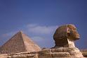 WT 1600 228-10 Egypt